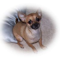 Shantell Davis's Photo