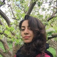 Farnaz Jalili的照片