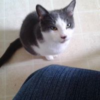 Daisy Gandarilla's Photo