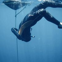 Fotos de Bastien LE VAN THOÏ