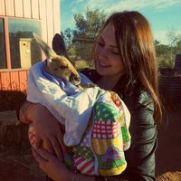 Cat Sapphire's Photo