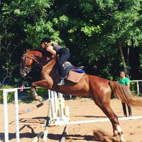 Cezza Williams的照片