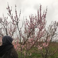 Ayşegül Yurtdakal's Photo