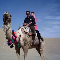 pouria nematollahi的照片