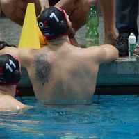 Petar Markovic's Photo