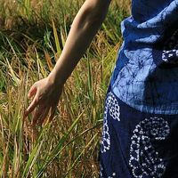 Фотографии пользователя Doris Chen