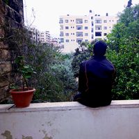 Akram Atout的照片