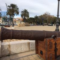 francois Dransart's Photo