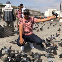 kader hamdine的照片