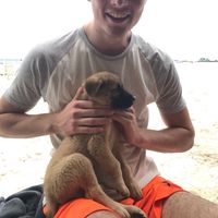 Fotos de David Hanč