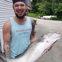 Levi Wallace的照片