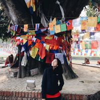 Cary Pancis的照片