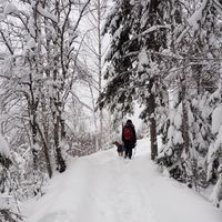 Katya Zhivaykina's Photo