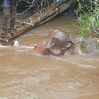 Maddy Pollard's Photo