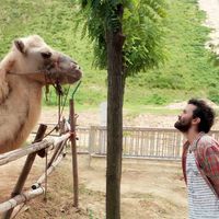 german perez's Photo