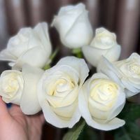 Photos de Mukhlisa Yarashova