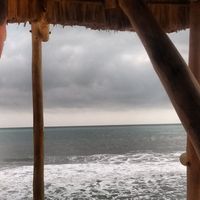 Katherine Carbonell的照片