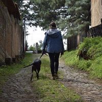 Fanni Chavez's Photo