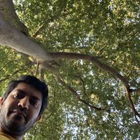 Mohammad Memarbashi's Photo