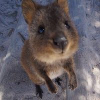 Alexander Liang的照片