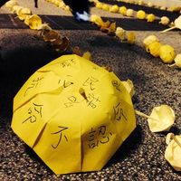 Kelvin Tsang's Photo