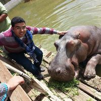 Fotos von Ahmed Abdelnabi