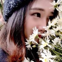 Cẩm Nhung Đinh的照片