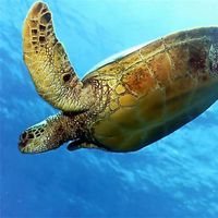 Фотографии пользователя Sergio Alejandro Guarin Torre