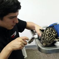 Andrey Paniagua的照片