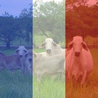 Dina Spiettro's Photo