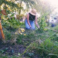 Photos de Rocio Vélez