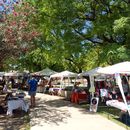 Vida Feria's picture