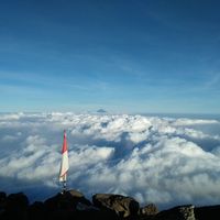 Photos de Radius Sujatmiko