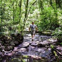 Photos de Gabriel Borowski