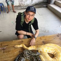 Le foto di 翊晨 楊