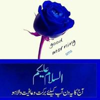 Shamimul Hasan's Photo