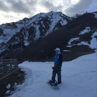 Le foto di Brian Adlard