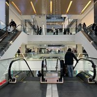 Jawed Essay的照片