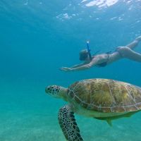 angela Monaco's Photo