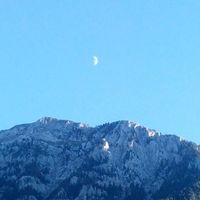 Benja Palmamur的照片