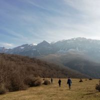 Ehsan Qanbari's Photo