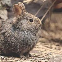 Christian Monteros's Photo