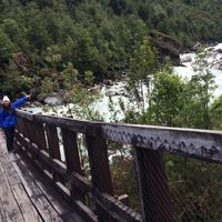 nicole daille的照片