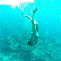 Devery Sheffer's Photo