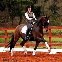 Summervale Premier Dressage's Photo