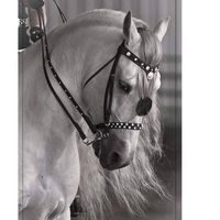 Photos de Eman Ramadan