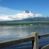 Fotos de Yao Dong Wang