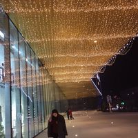 Kamila  Makhmudova's Photo