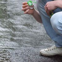 Wojciech Swarowski's Photo