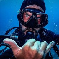 Yann Callaert的照片